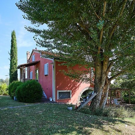 منزل الضيف Montepulciano Stazione  في Il Vecchio Milipano المظهر الخارجي الصورة